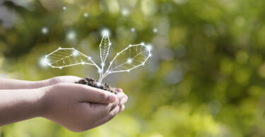 A Comissão Europeia abriu uma consulta pública para recolher contributos sobre o futuro Biotech Act II, uma iniciativa com impacto potencial na agricultura sustentável, em particular no desenvolvimento, produção em escala e disponibilização de soluções de biocontrolo aos agricultores europeus.