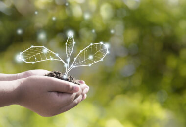 A Comissão Europeia abriu uma consulta pública para recolher contributos sobre o futuro Biotech Act II, uma iniciativa com impacto potencial na agricultura sustentável, em particular no desenvolvimento, produção em escala e disponibilização de soluções de biocontrolo aos agricultores europeus.