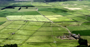Portugal, França e Espanha pedem manutenção de apoio à agricultura das regiões ultraperiféricas