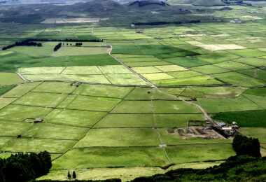 Portugal, França e Espanha pedem manutenção de apoio à agricultura das regiões ultraperiféricas