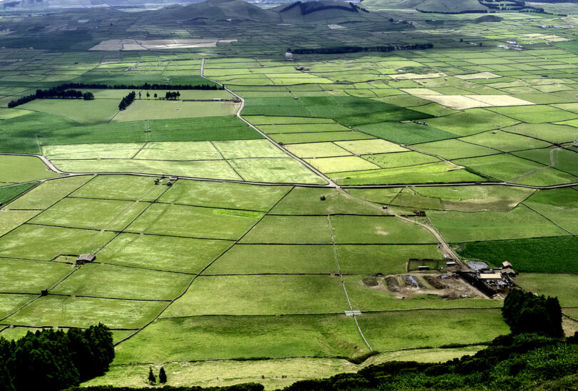 Portugal, França e Espanha pedem manutenção de apoio à agricultura das regiões ultraperiféricas