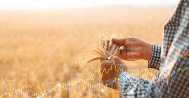 Guerra no Irão poderá aumentar preços agrícolas até 8,5% em 2026
