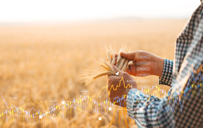 Guerra no Irão poderá aumentar preços agrícolas até 8,5% em 2026