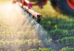 Investigadores no Canadá desenvolvem formulação que melhora adesão de pesticidas às folhas