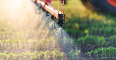 Investigadores no Canadá desenvolvem formulação que melhora adesão de pesticidas às folhas