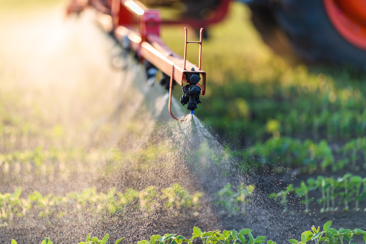 Investigadores no Canadá desenvolvem formulação que melhora adesão de pesticidas às folhas