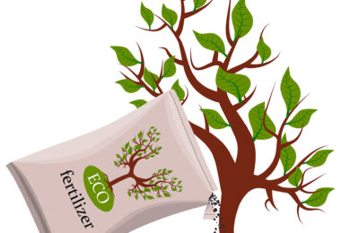 Entre fertilizantes e fitofarmacêuticos, cresce uma nova geração de produtos agrícolas
