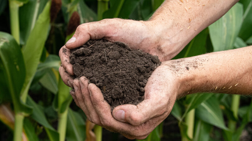Maioria dos consumidores europeus desconhece o conceito de agricultura regenerativa