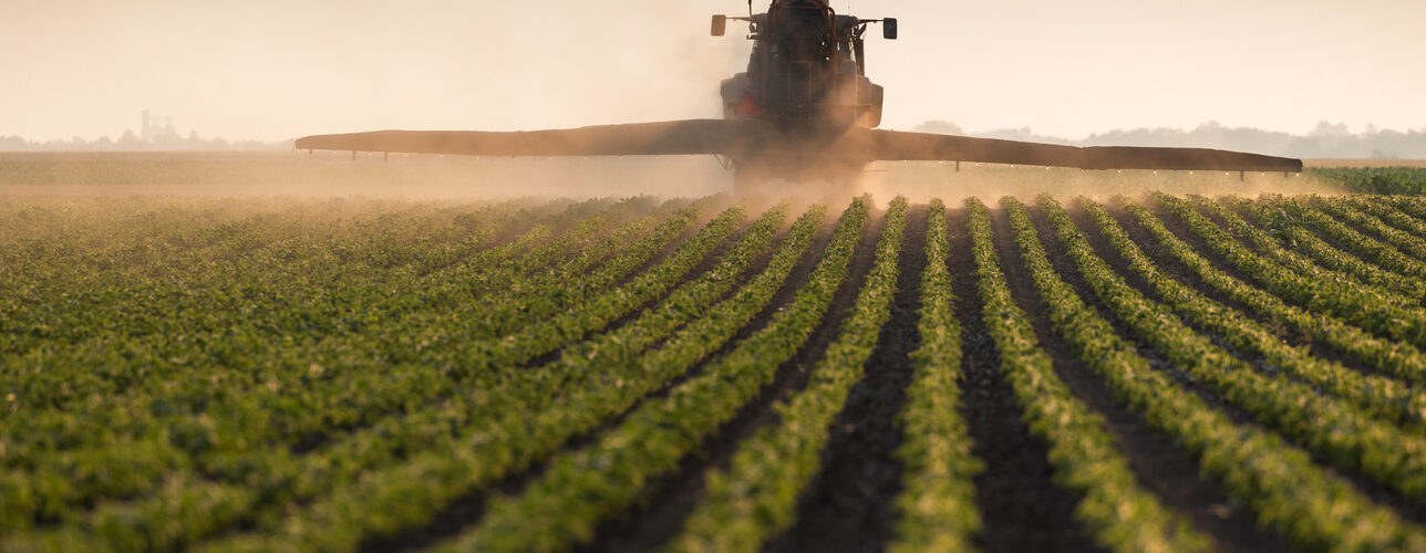 FAO alerta para impacto da escassez de fertilizantes nas colheitas de 2026 e 2027