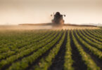 FAO alerta para impacto da escassez de fertilizantes nas colheitas de 2026 e 2027