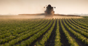 FAO alerta para impacto da escassez de fertilizantes nas colheitas de 2026 e 2027