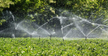 Agricultores do Ribatejo contestam exclusão do levantamento de restrições a furos