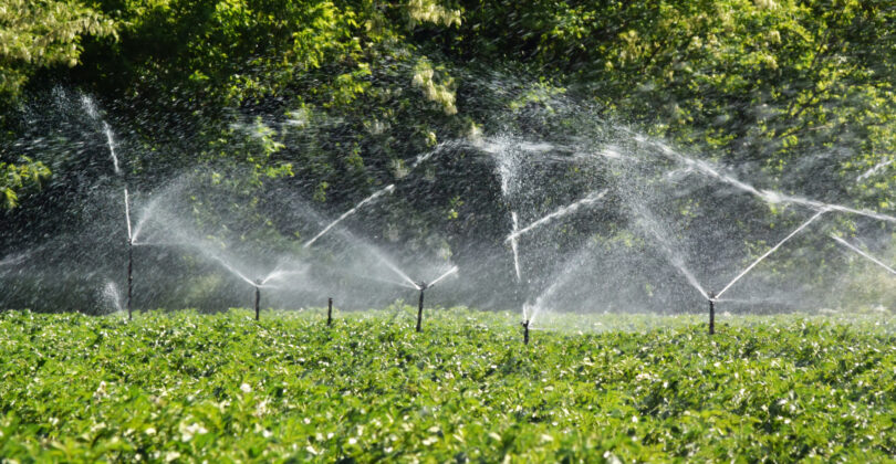Agricultores do Ribatejo contestam exclusão do levantamento de restrições a furos