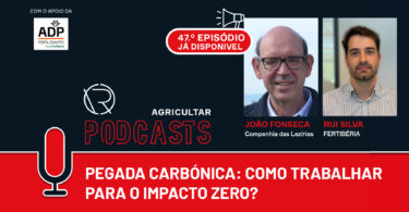 Pegada carbónica: Como trabalhar para o impacto zero?
