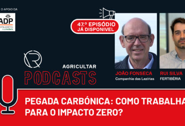 Pegada carbónica: Como trabalhar para o impacto zero?