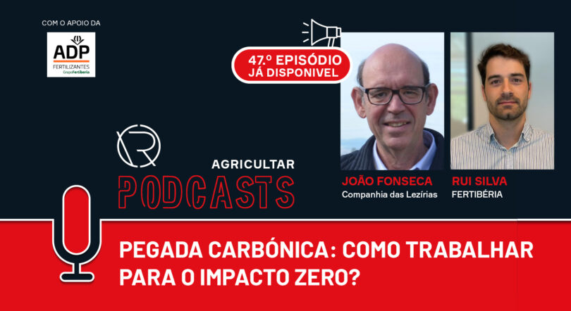 Pegada carbónica: Como trabalhar para o impacto zero?