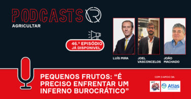 Pequenos frutos: “É preciso enfrentar um inferno burocrático” para gerar riqueza
