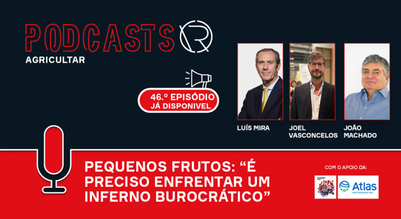 Pequenos frutos: “É preciso enfrentar um inferno burocrático” para gerar riqueza