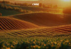 agribusiness