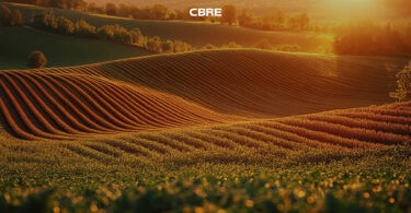 agribusiness
