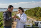 Espanha desenvolve bioestimulantes com microalgas para hortícolas e citrinos