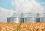 Preços da produção agrícola na UE recuam 2,9% no primeiro trimestre