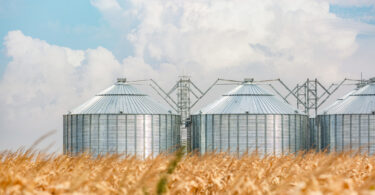 Preços da produção agrícola na UE recuam 2,9% no primeiro trimestre