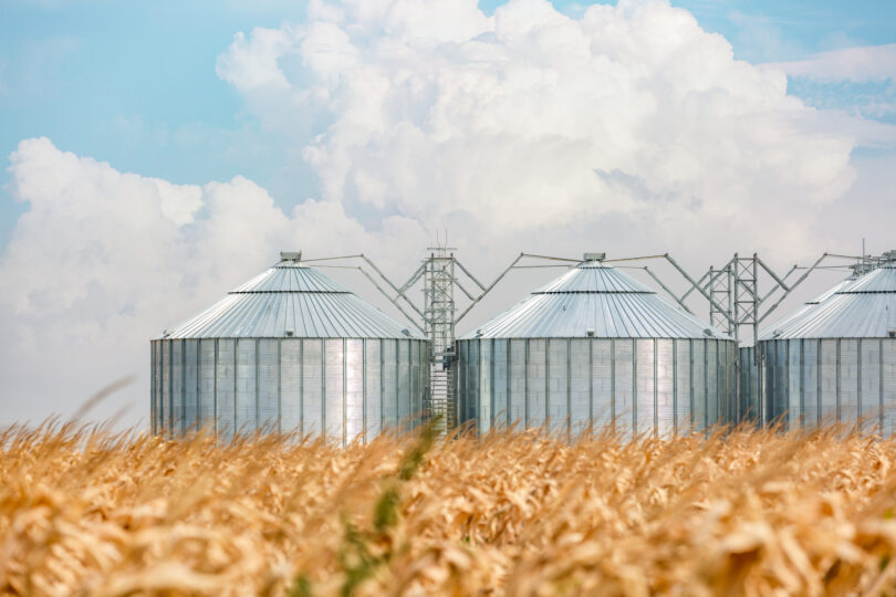 Preços da produção agrícola na UE recuam 2,9% no primeiro trimestre