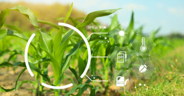 Espanha e Portugal criam rede de inovação para o setor agroalimentar