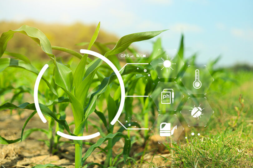 Espanha e Portugal criam rede de inovação para o setor agroalimentar