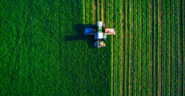 CAP indica impacto residual da greve geral na agricultura e floresta