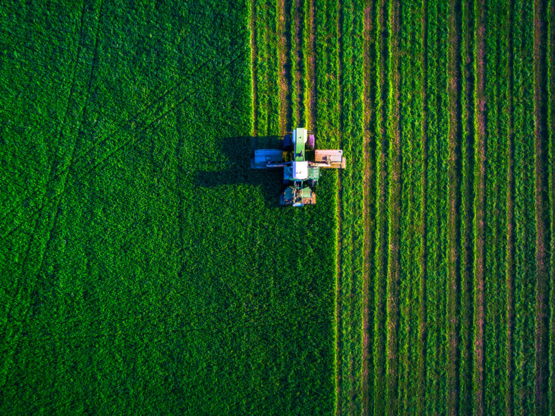 CAP indica impacto residual da greve geral na agricultura e floresta