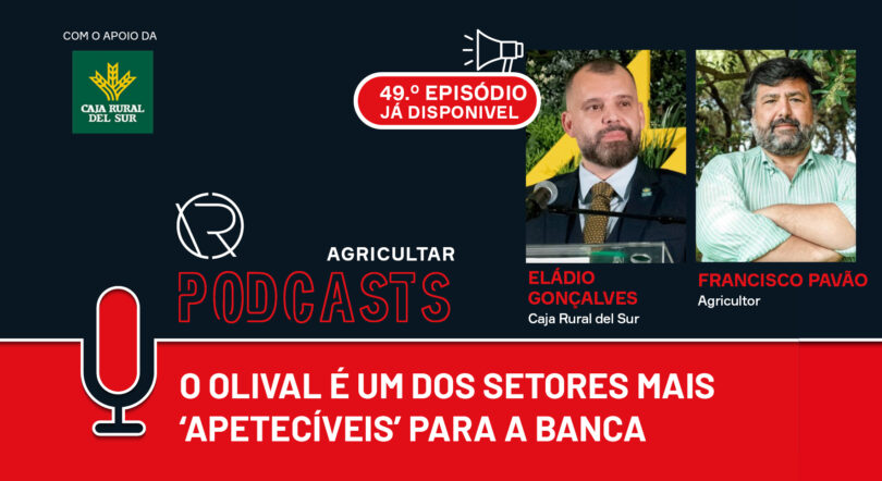 O olival é um dos setores mais ‘apetecíveis’ para a banca