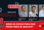 Ainda há espaço para mais produtores de abacate?