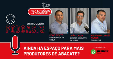 Ainda há espaço para mais produtores de abacate?