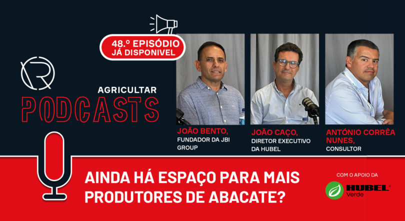Ainda há espaço para mais produtores de abacate?