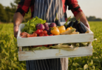 Bruxelas simplifica regras dos programas de promoção agroalimentar da UE