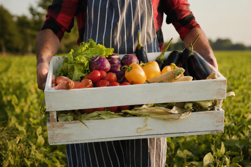 Bruxelas simplifica regras dos programas de promoção agroalimentar da UE