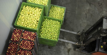 Produtos agroalimentares da UE reforçam reputação em mercados internacionais