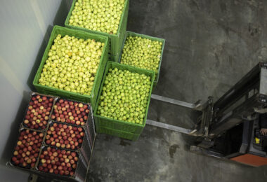 Produtos agroalimentares da UE reforçam reputação em mercados internacionais