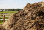 Comissão Europeia quer promover uso de estrume para reduzir dependência de fertilizantes importados