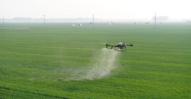 Drones passam a poder aplicar pesticidas em culturas agrícolas no Canadá