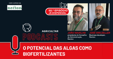 O potencial das algas como biofertilizantes
