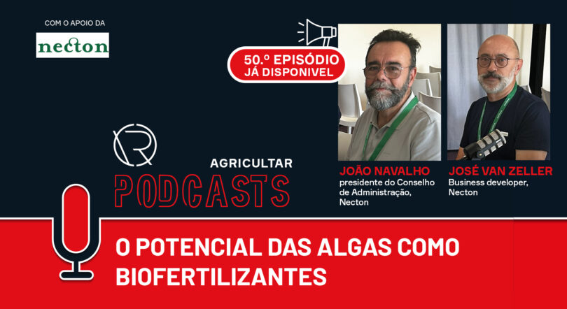 O potencial das algas como biofertilizantes