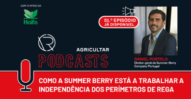 Como a está a Summer Berry a reduzir a dependência dos perímetros de rega?