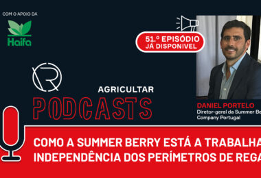 Como a está a Summer Berry a reduzir a dependência dos perímetros de rega?