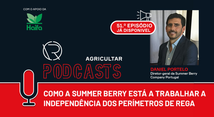 Como a está a Summer Berry a reduzir a dependência dos perímetros de rega?
