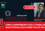 Como a está a Summerberry a reduzir a dependência dos perímetros de rega?